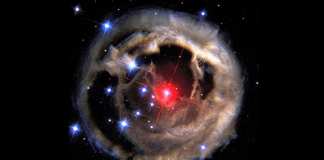 red nova Cygnus KIC 9832227 V838 Monocerotis explosion type-2