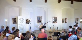 muzica in palatele romaniei