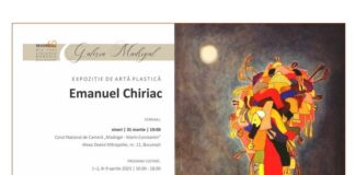 GALERIA MADRIGAL 60 • EMANUEL CHIRIAC - DREPTUNGHI(1)