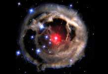 O explozie stelară de proporții va lumina cerul nocturn în următorii 5-6 ani red nova Cygnus KIC 9832227 V838 Monocerotis explosion type-2