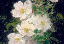 pictura-romaneasca colectia bonte
