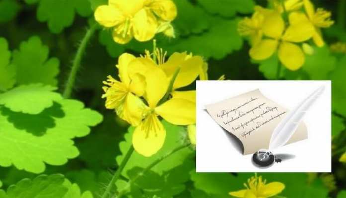 Ziua Internațională a Poeziei poezie si jazz Ziua Internațională a Poeziei poezie si jazz
