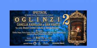 oglinzi 2 camelia radulian dan pantis