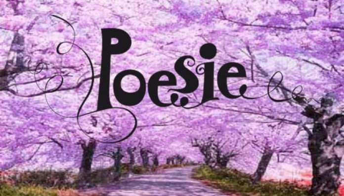 ziua internationala a poeziei humanitas sibiu