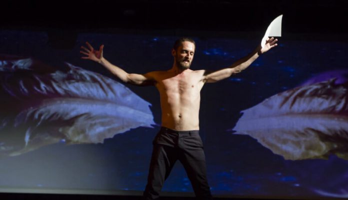Teatrul Odeon - De vanzare - Gianina Cărbunariu-2