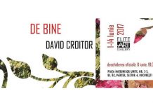 de bine david croitor elite art galerie