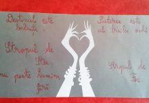 Scrisoarea Prezicătoarei către Domnul Artaud de Ana Ionesei