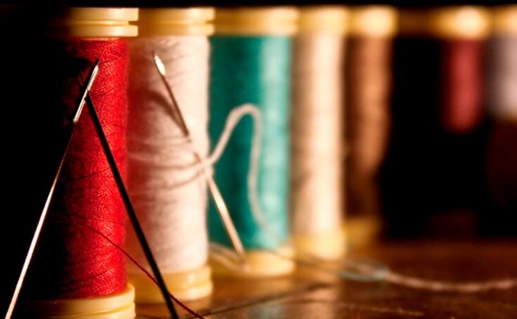 ata si acul de pusa roth