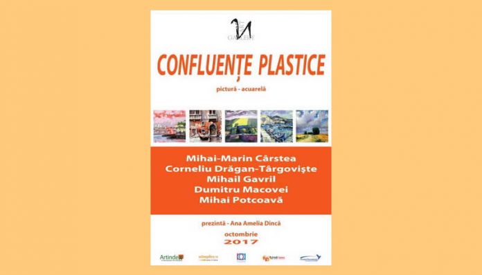 expozitie confluente plastice expozitie confluente plastice