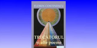 florin costinescu