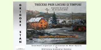 expozitie Grigore Stan mimi necula