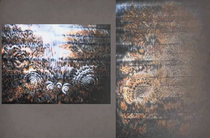 Carmen Crăciun Bazilescu pictura pe material textil (1)