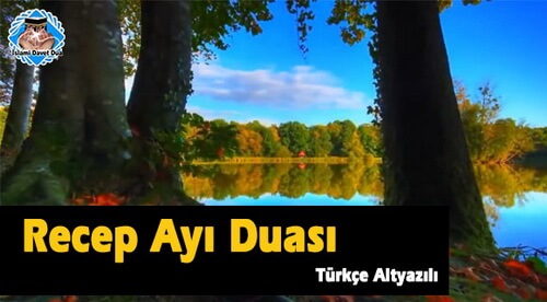 Ruga lunii, Recep
