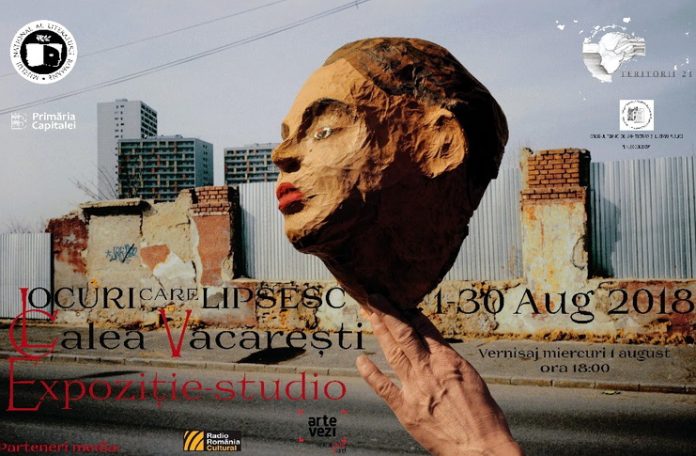 expozitie calea vacaresti