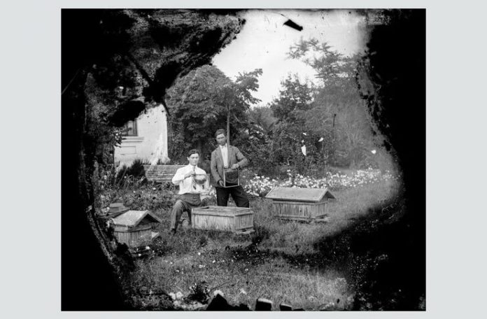 Fotografie de Costică Acsinte