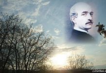 Pușa Roth Costin Tuchilă Vasile Alecsandri-nume-si-caractere-biografie-opera leviathan.ro