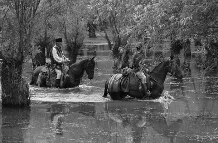 Aferim Radu Jude
