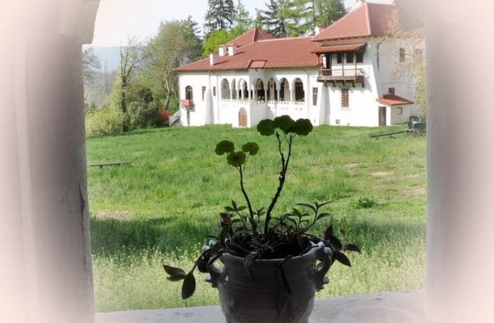 Florentina Loredana Dalian proză scurtă conac Florentina Loredana Dalian proză scurtă conac