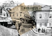 Pusa Roth ziare bucuresti 1871 leviathan