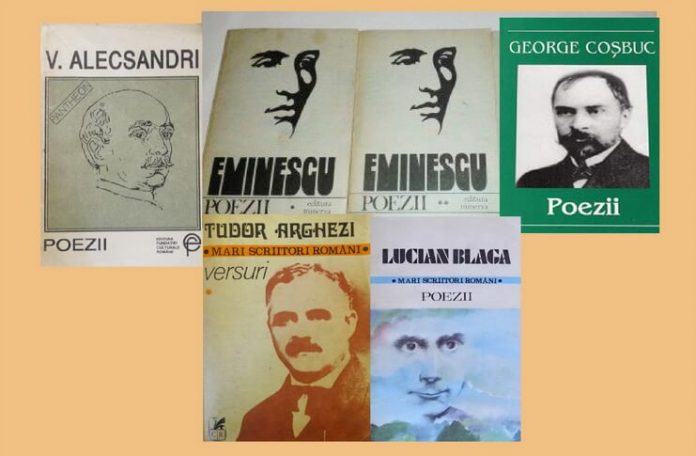 Pușa Roth poezie romaneasca lecturi naravul din fire