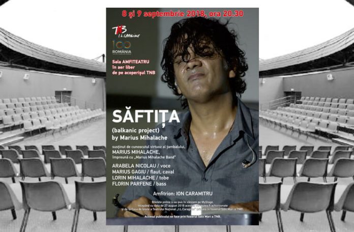 saftita marius mihalache