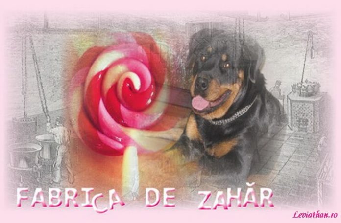 Caragiale Pusa Roth revista Bobarnacul leviathan.ro