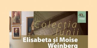 Colectia Elisabeta si Moise Weinberg