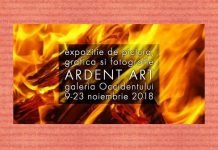 expozitia ardent art