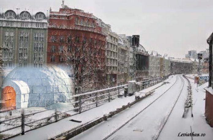 Letitia Vladislav diaspora craciun proza