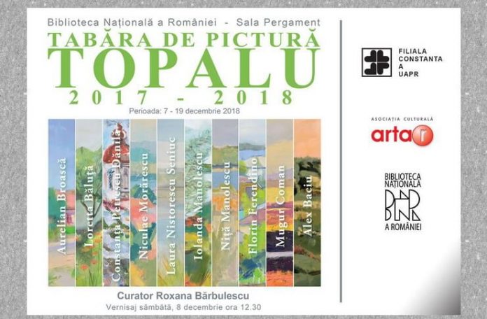 tabăra de pictura topalu