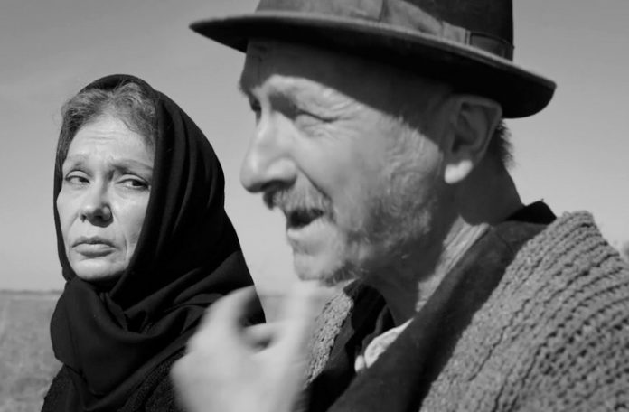 Imagine din filmul ”Moromeții 2” Imagine din filmul ”Moromeții 2”
