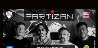 Partizan disc