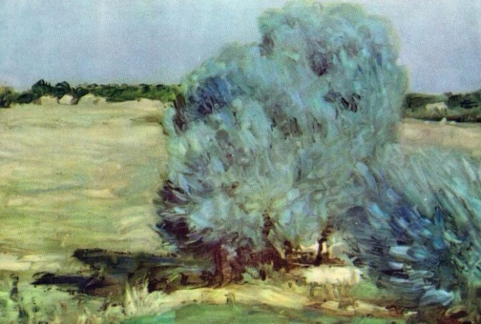 Ștefan Luchian Sălciile de la Chiajna Ștefan Luchian, ”Sălciile de la Chiajna”, 1905