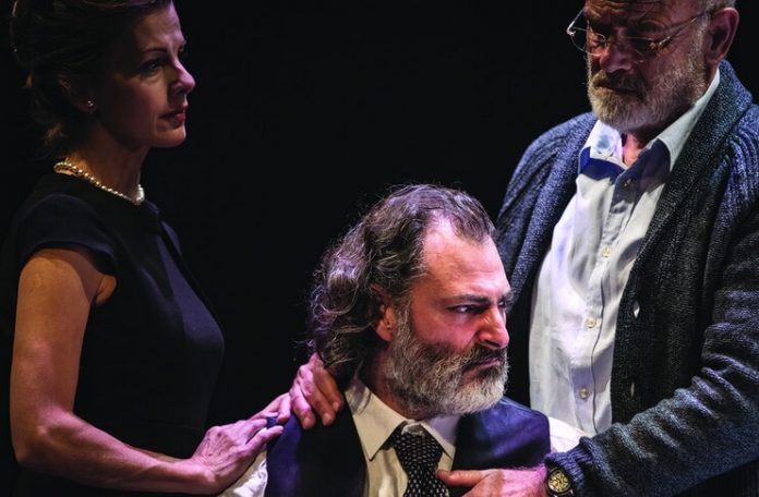 Imagine din spectacolul ”Tous des oiseaux” de Wajdi Mouawad, Teatrul Național de la Colline din Paris