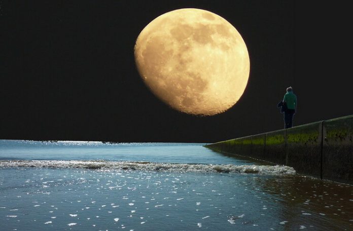 Luna peste saline proza de Letitia Vladislav