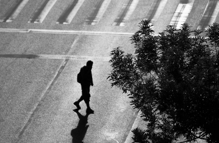 letitia vladislav diaspora proza