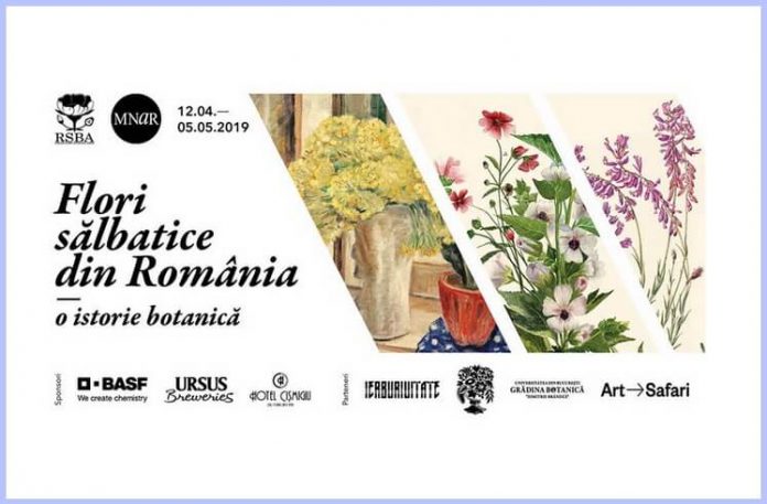flori sălbatice din România flori sălbatice din România
