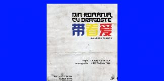 din romania cu dragoste teatrul din satu mare