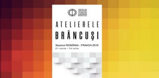 atelierele brancusi