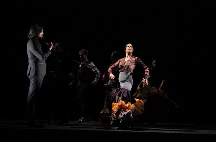 ”Cel mai bun flamenco”. Fotografie de Maria Ștefanescu ”Cel mai bun flamenco”. Fotografie de Maria Ștefanescu