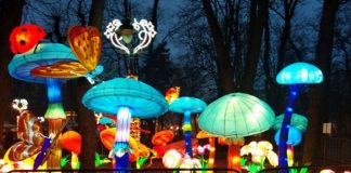 FITS recomandă o plimbare nocturnă în Muzeul ASTRA din Sibiu lantern festival