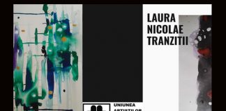 laura nicolae tranziții