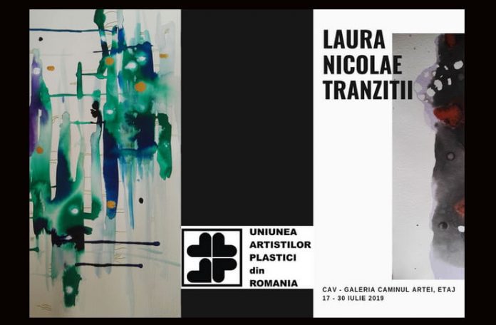 laura nicolae tranziții laura nicolae tranziții