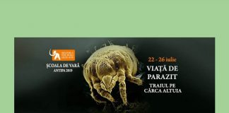 Știri: ”Viață de parazit – traiul pe cârca altuia” (22 – 26 iulie 2019, București) scoala de vara muzeul antipa 2019
