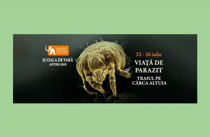 scoala de vara muzeul antipa 2019