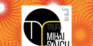 teatrul de nord din satu mare