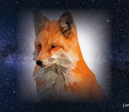 vulpea la rubrica tettyo saito japonia