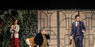 Imagine din spectacolul ”Mentorul”. Sursa foto: Teatrul ”Nottara”