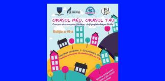 concurs biblioteca judeteana braila