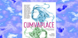 cum va place teatrul de nord satu mare